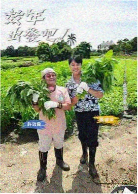 极限挑战·宝藏行 - 电影天堂免费官网下载电影